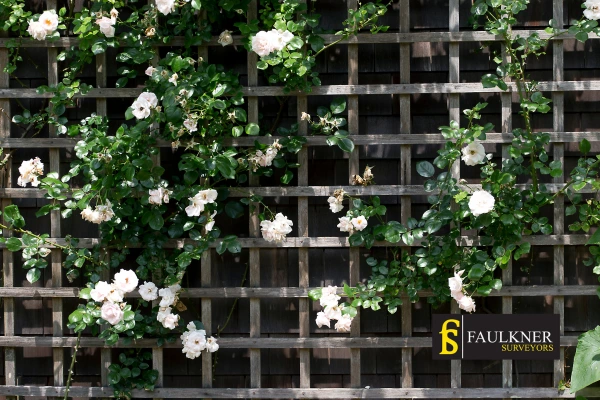 Can I put trellis on my Neighbours garage wall? 2 Do you want to adapt your neighbours garage door and add a trellis Billericay? Talk to Faulkner Surveyor Billericay